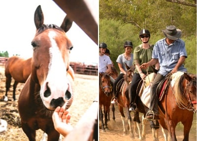 Équitation à Belek