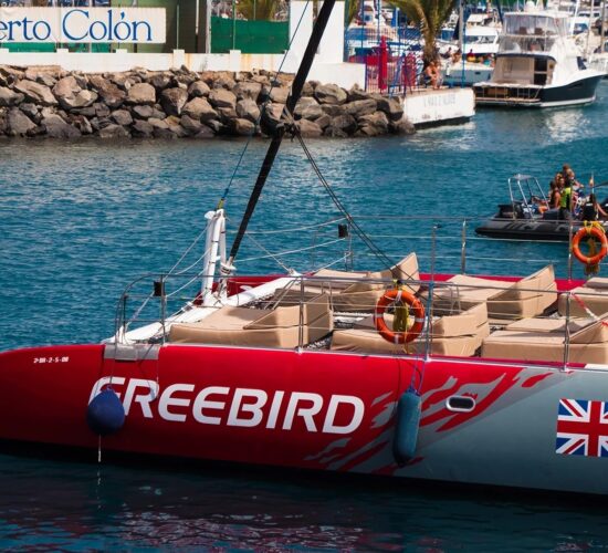 Freebird Catamaran