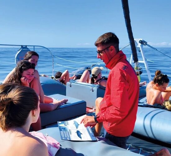 Catamaran Blanc Tenerife