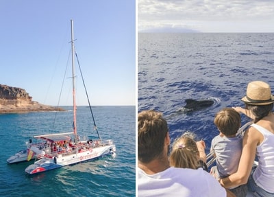 Catamaran Blanc Tenerife